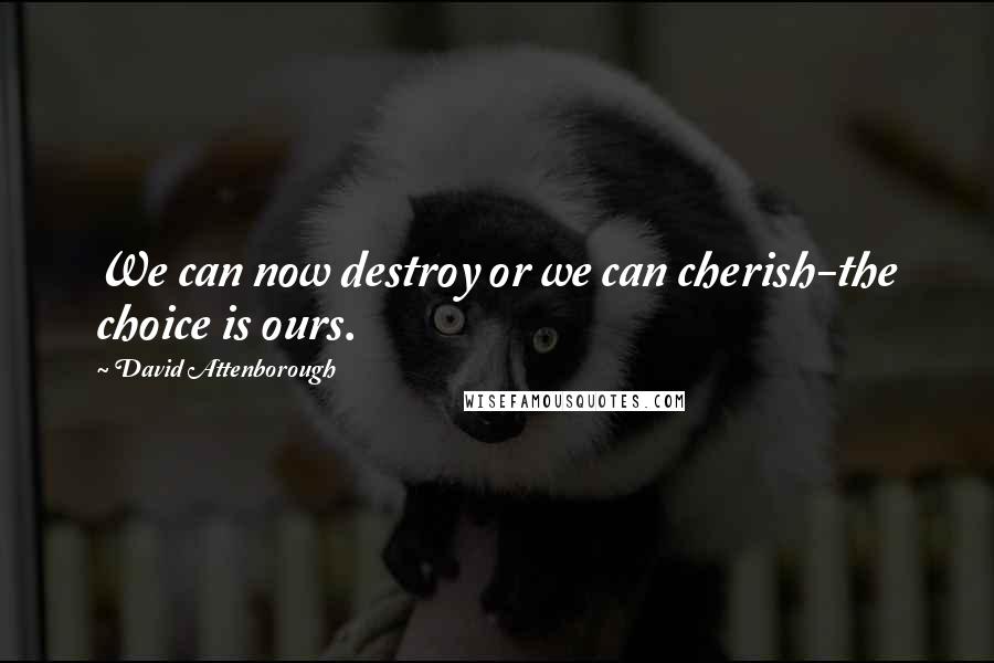 David Attenborough quotes: We can now destroy or we can cherish-the choice is ours.