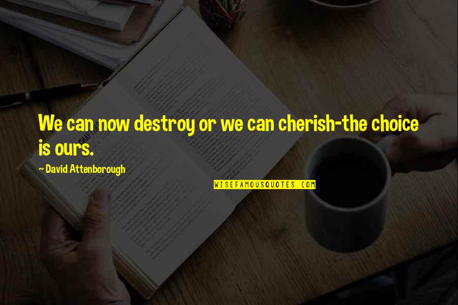 David Attenborough Quotes By David Attenborough: We can now destroy or we can cherish-the David Attenborough Quotes By David Attenborough: We can now destroy or we can cherish-the
