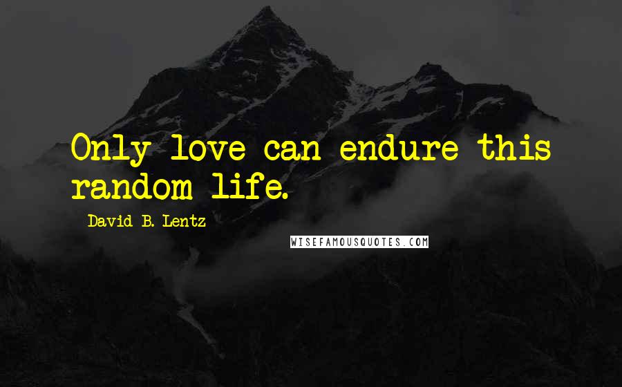 David B. Lentz quotes: Only love can endure this random life.