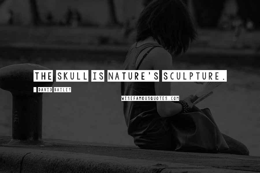 David Bailey quotes: The skull is nature's sculpture.