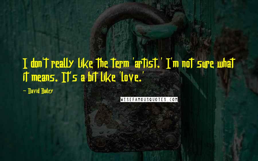 David Bailey quotes: I don't really like the term 'artist.' I'm not sure what it means. It's a bit like 'love.'