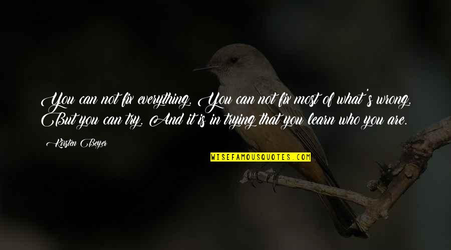 David Barnhart Quotes By Kirsten Beyer: You can not fix everything. You can not