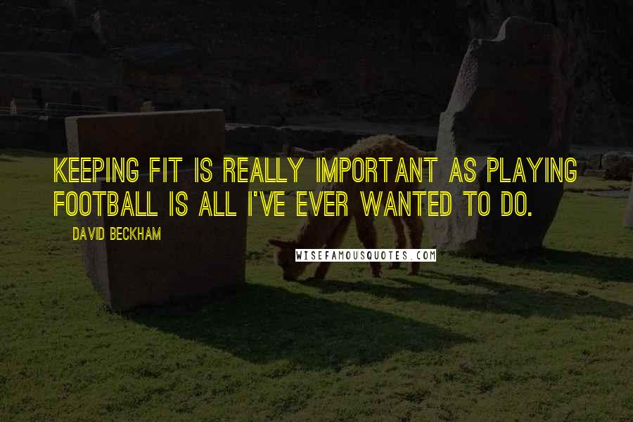David Beckham quotes: Keeping fit is really important as playing football is all I've ever wanted to do.