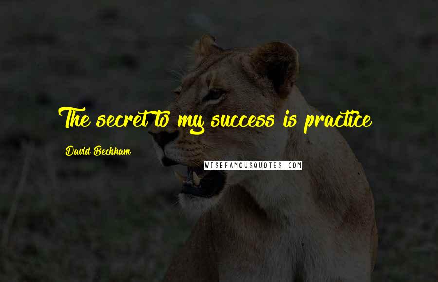 David Beckham quotes: The secret to my success is practice!