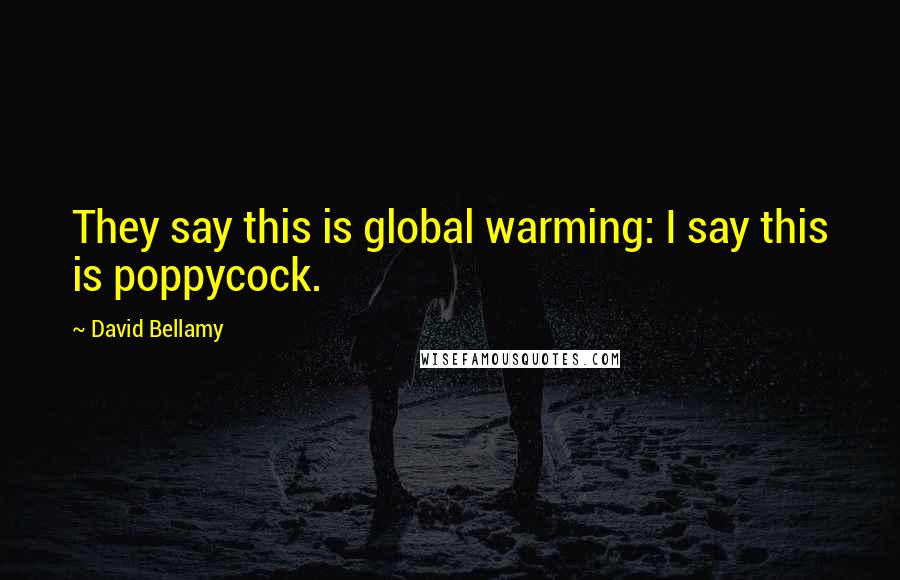 David Bellamy quotes: They say this is global warming: I say this is poppycock.