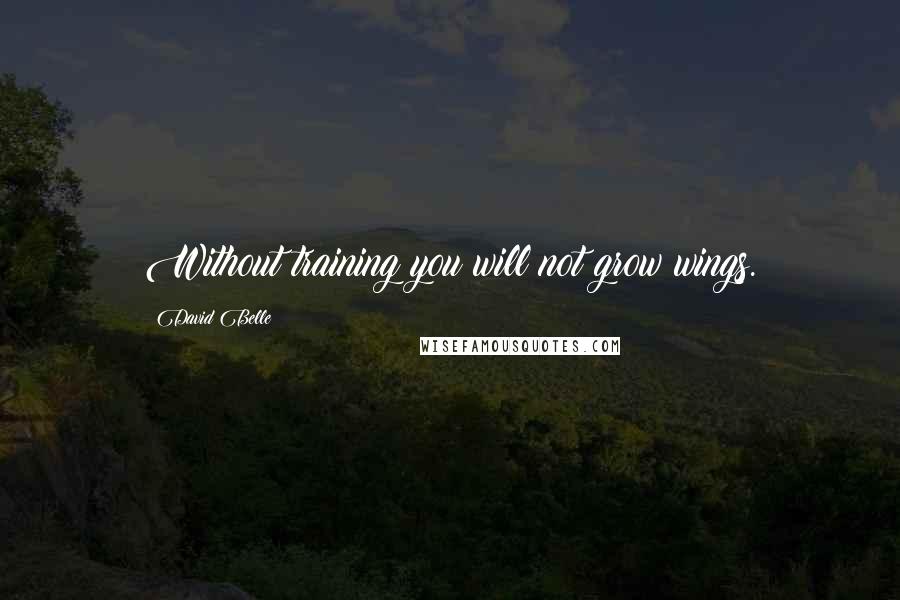David Belle quotes: Without training you will not grow wings.