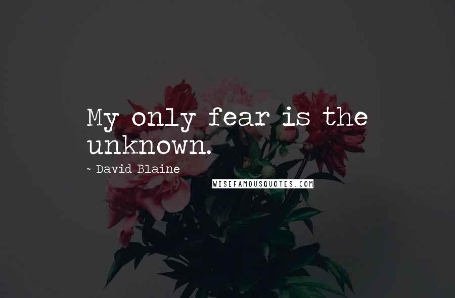 David Blaine quotes: My only fear is the unknown. David Blaine quotes: My only fear is the unknown.