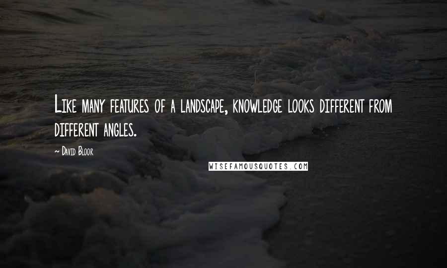 David Bloor quotes: Like many features of a landscape, knowledge looks different from different angles.