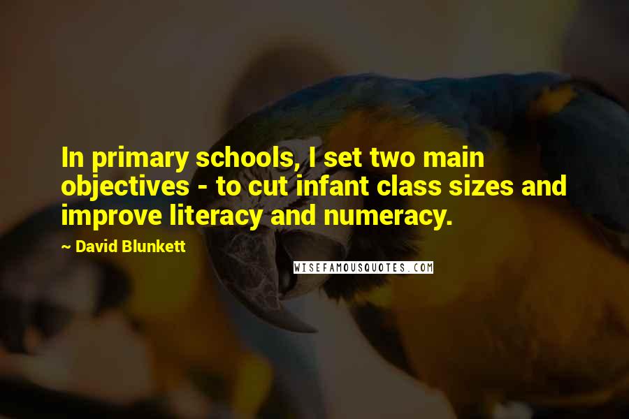 David Blunkett quotes: In primary schools, I set two main objectives - to cut infant class sizes and improve literacy and numeracy. David Blunkett quotes: In primary schools, I set two main objectives - to cut infant class sizes and improve literacy and numeracy.