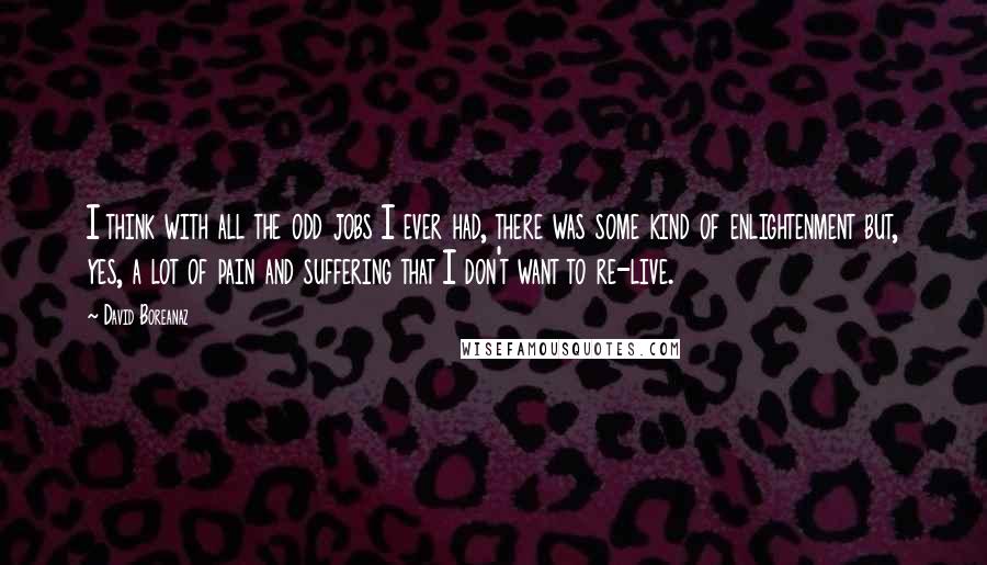 David Boreanaz quotes: I think with all the odd jobs I ever had, there was some kind of enlightenment but, yes, a lot of pain and suffering that I don't want to re-live.