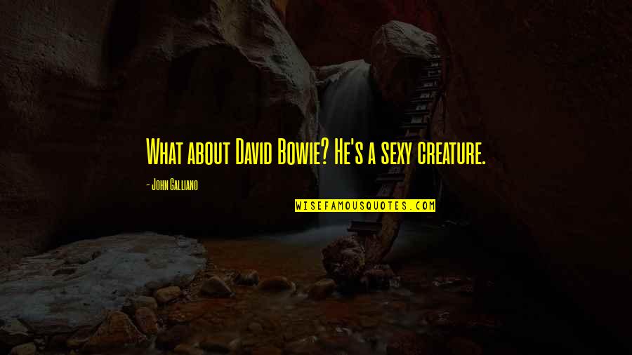 David Bowie Quotes By John Galliano: What about David Bowie? He's a sexy creature.