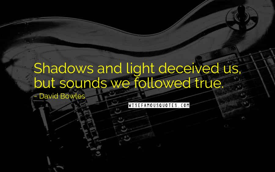 David Bowles quotes: Shadows and light deceived us, but sounds we followed true.