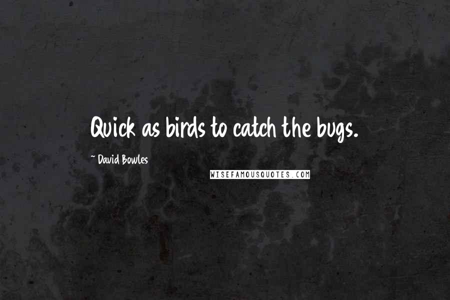 David Bowles quotes: Quick as birds to catch the bugs.