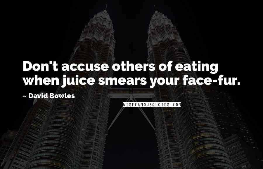 David Bowles quotes: Don't accuse others of eating when juice smears your face-fur.