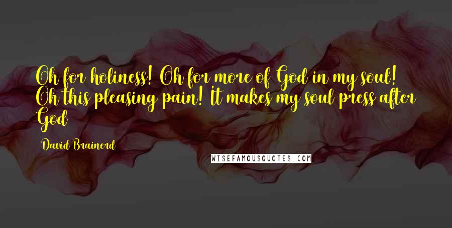 David Brainerd quotes: Oh for holiness! Oh for more of God in my soul! Oh this pleasing pain! It makes my soul press after God
