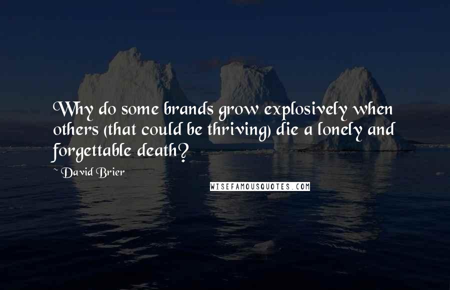 David Brier quotes: Why do some brands grow explosively when others (that could be thriving) die a lonely and forgettable death?