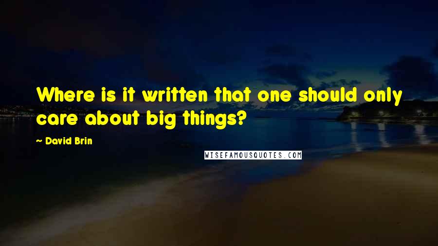 David Brin quotes: Where is it written that one should only care about big things?