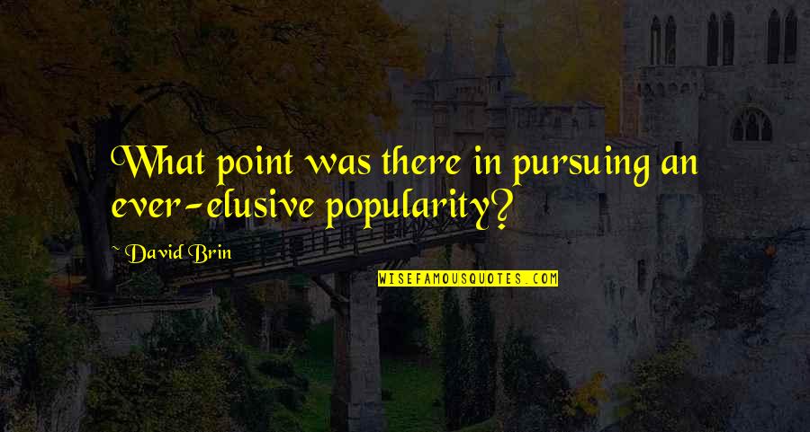 David Brin Quotes By David Brin: What point was there in pursuing an ever-elusive