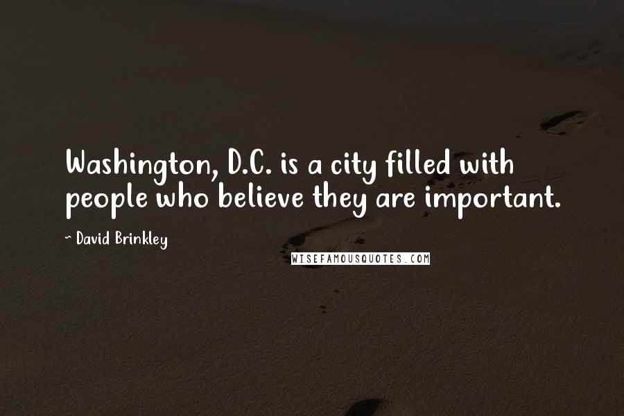 David Brinkley quotes: Washington, D.C. is a city filled with people who believe they are important.