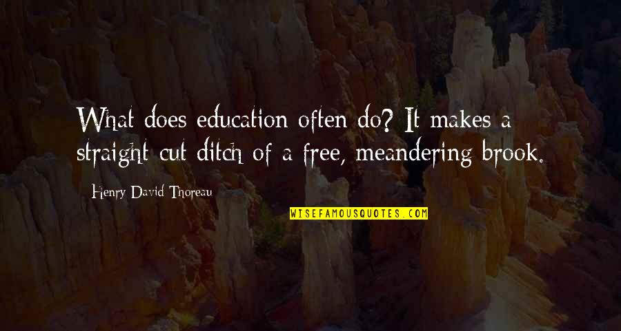 David Brook Quotes By Henry David Thoreau: What does education often do? It makes a