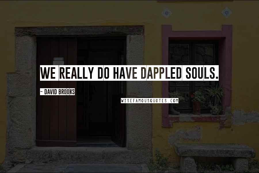 David Brooks quotes: We really do have dappled souls.
