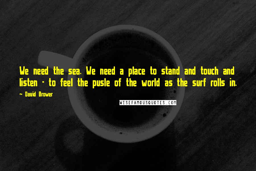 David Brower quotes: We need the sea. We need a place to stand and touch and listen - to feel the pusle of the world as the surf rolls in.