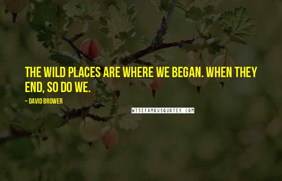 David Brower quotes: The wild places are where we began. When they end, so do we.