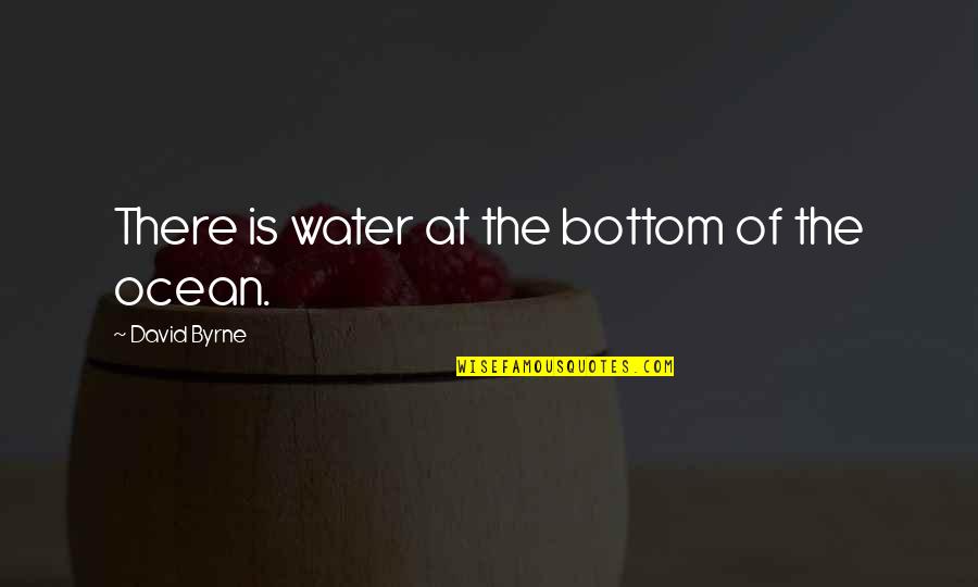 David Byrne Quotes By David Byrne: There is water at the bottom of the