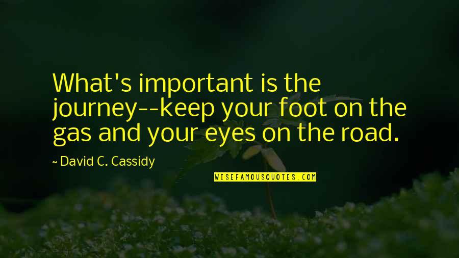 David C Quotes By David C. Cassidy: What's important is the journey--keep your foot on