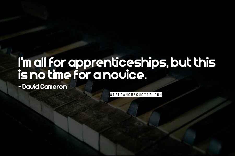 David Cameron quotes: I'm all for apprenticeships, but this is no time for a novice.