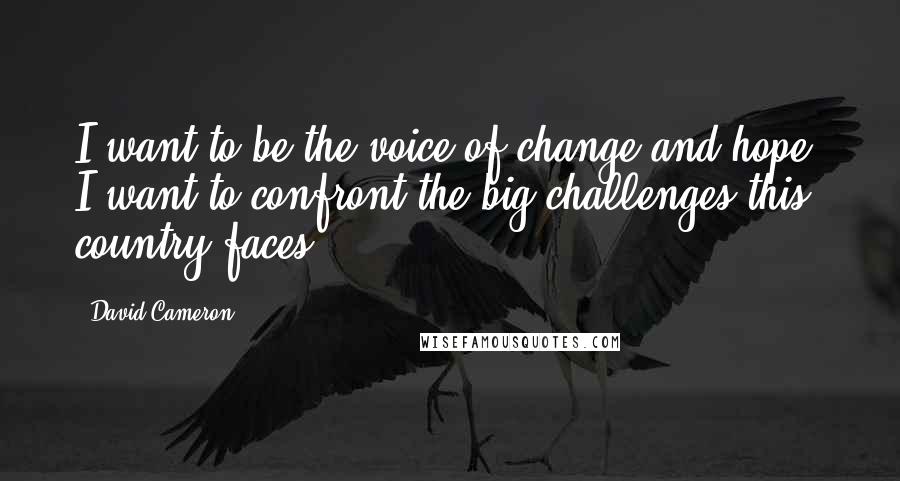 David Cameron quotes: I want to be the voice of change and hope. I want to confront the big challenges this country faces.