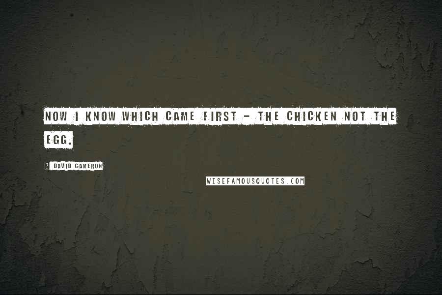 David Cameron quotes: Now I know which came first - the chicken not the egg.
