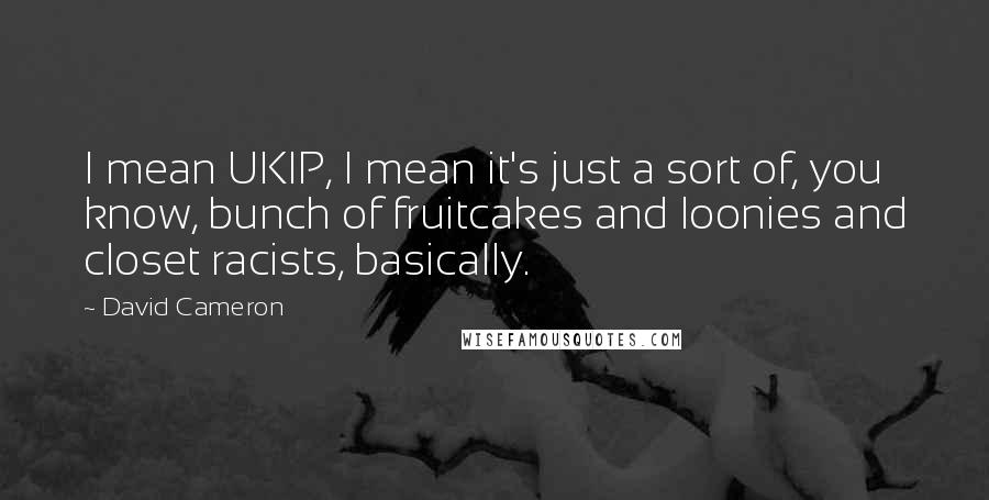 David Cameron quotes: I mean UKIP, I mean it's just a sort of, you know, bunch of fruitcakes and loonies and closet racists, basically.
