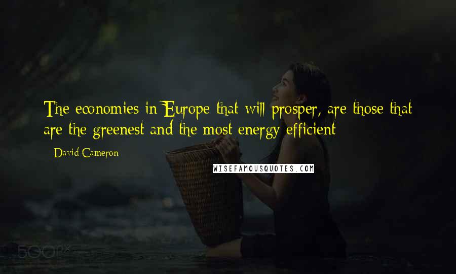 David Cameron quotes: The economies in Europe that will prosper, are those that are the greenest and the most energy efficient