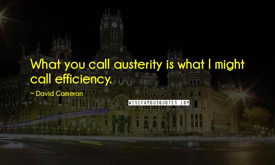 David Cameron quotes: What you call austerity is what I might call efficiency.