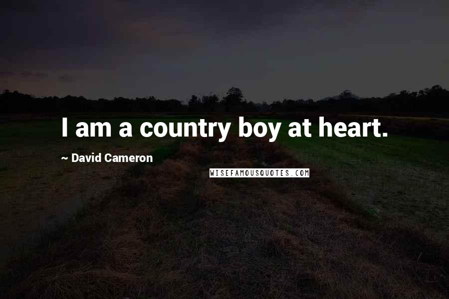 David Cameron quotes: I am a country boy at heart.