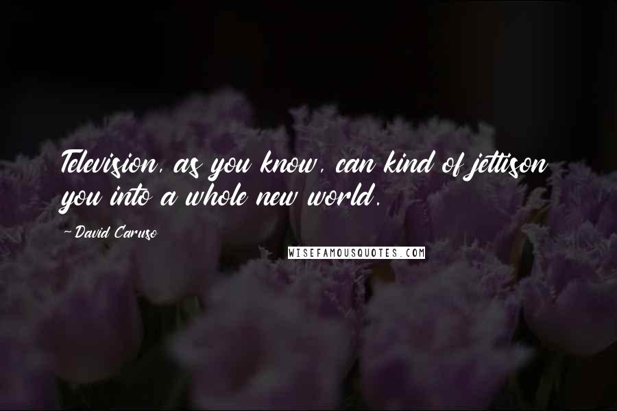 David Caruso quotes: Television, as you know, can kind of jettison you into a whole new world.