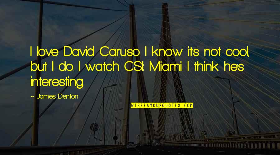 David Caruso Quotes By James Denton: I love David Caruso. I know it's not