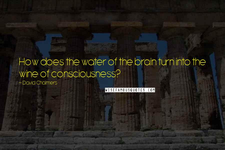 David Chalmers quotes: How does the water of the brain turn into the wine of consciousness?