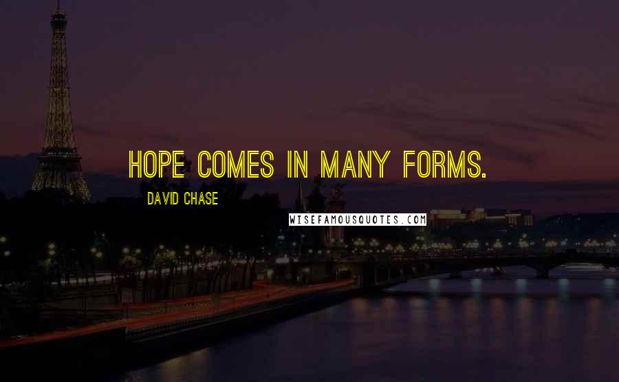 David Chase quotes: Hope comes in many forms.