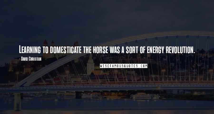 David Christian quotes: Learning to domesticate the horse was a sort of energy revolution.