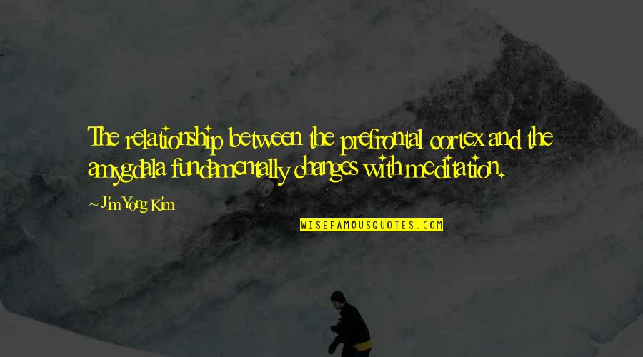 David Consunji Quotes By Jim Yong Kim: The relationship between the prefrontal cortex and the David Consunji Quotes By Jim Yong Kim: The relationship between the prefrontal cortex and the