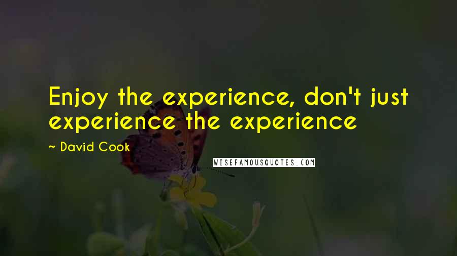 David Cook quotes: Enjoy the experience, don't just experience the experience