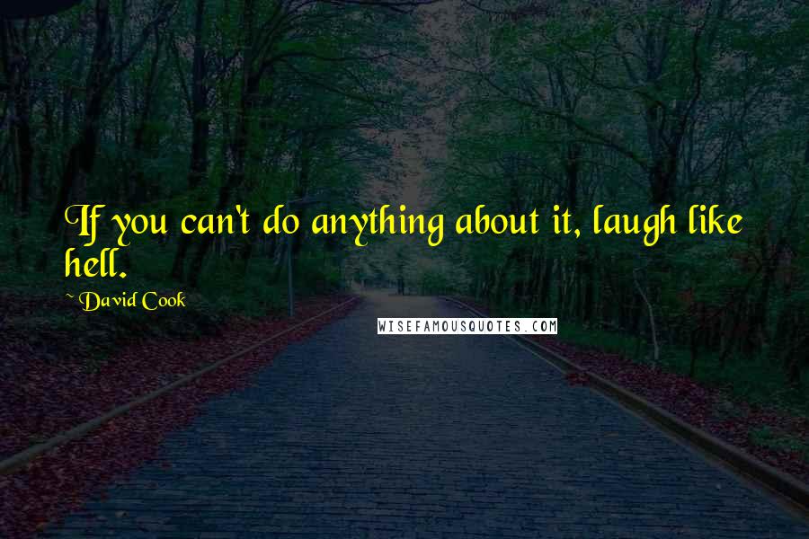David Cook quotes: If you can't do anything about it, laugh like hell.