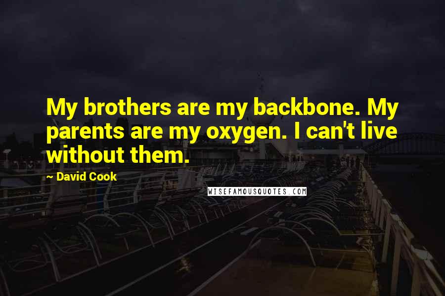 David Cook quotes: My brothers are my backbone. My parents are my oxygen. I can't live without them.