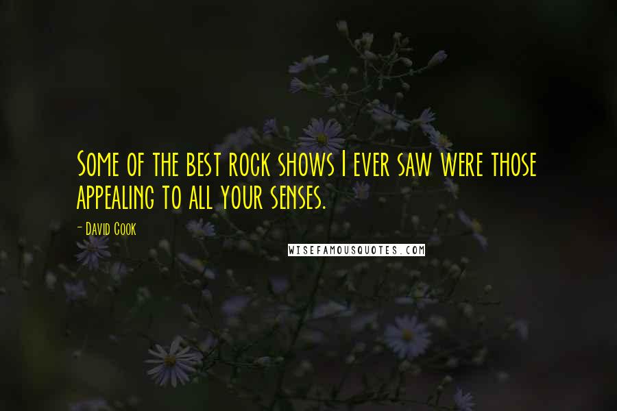 David Cook quotes: Some of the best rock shows I ever saw were those appealing to all your senses.