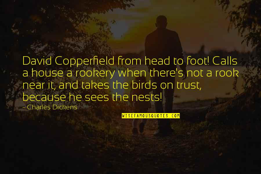 David Copperfield Quotes By Charles Dickens: David Copperfield from head to foot! Calls a