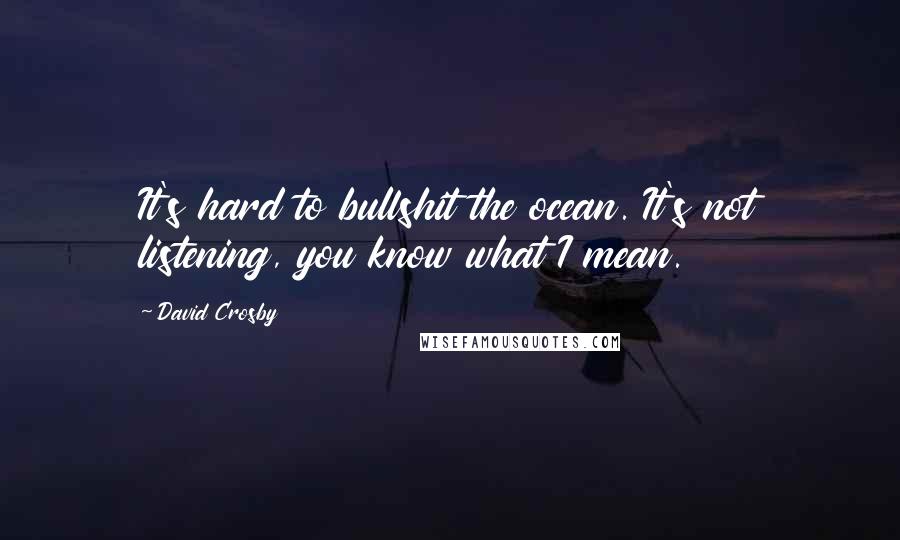 David Crosby quotes: It's hard to bullshit the ocean. It's not listening, you know what I mean.