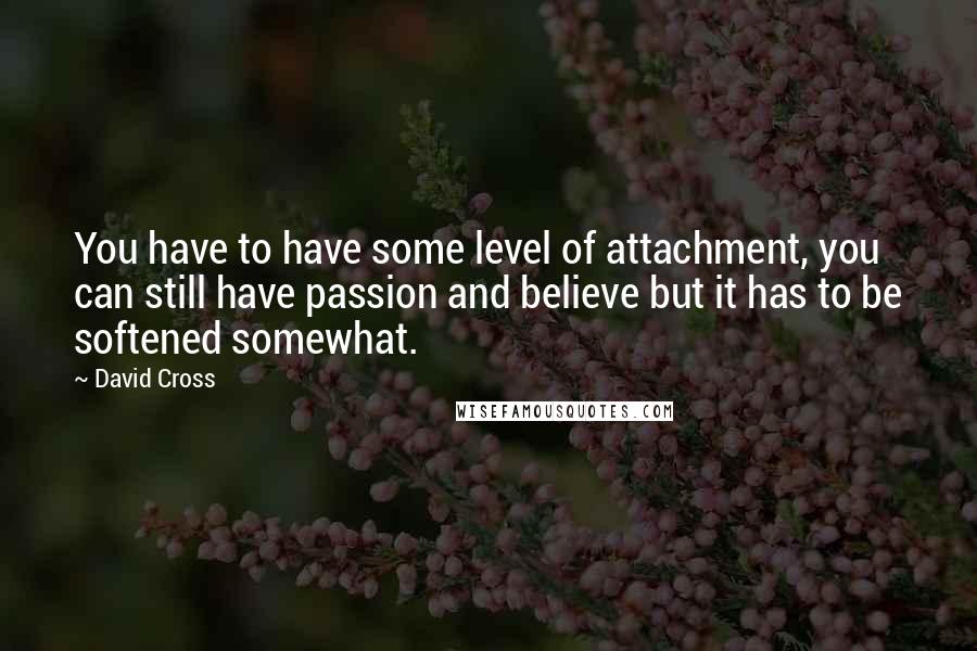 David Cross quotes: You have to have some level of attachment, you can still have passion and believe but it has to be softened somewhat.