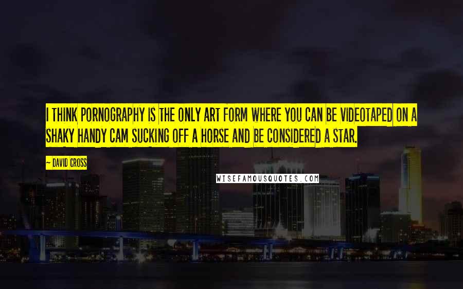 David Cross quotes: I think pornography is the only art form where you can be videotaped on a shaky handy cam sucking off a horse and be considered a star. David Cross quotes: I think pornography is the only art form where you can be videotaped on a shaky handy cam sucking off a horse and be considered a star.